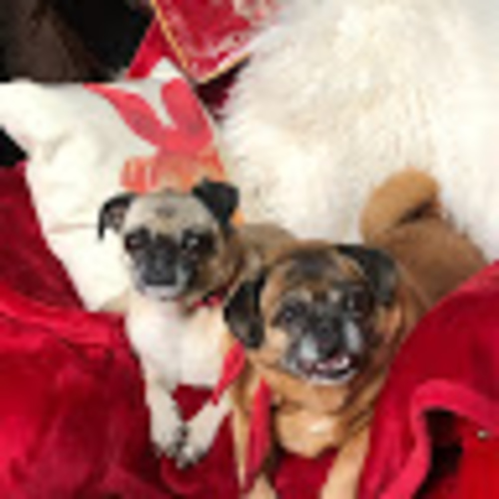 Meet your Posher, Nina